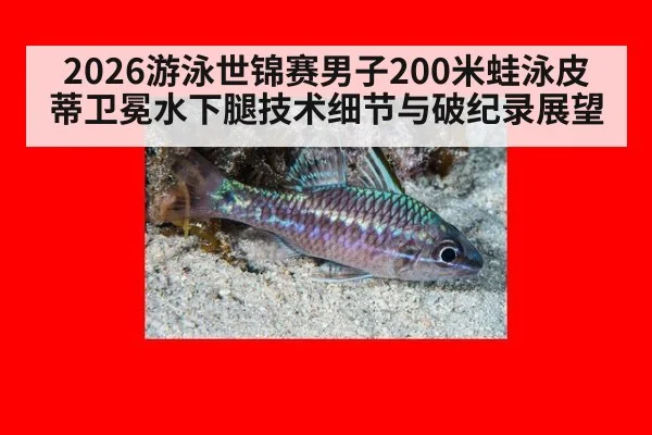 2026游泳世锦赛男子200米蛙泳皮蒂卫冕水下腿技术细节与破纪录展望