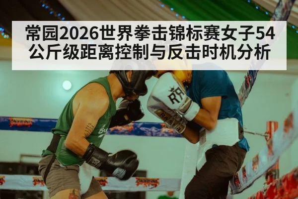 boxing ring gloves