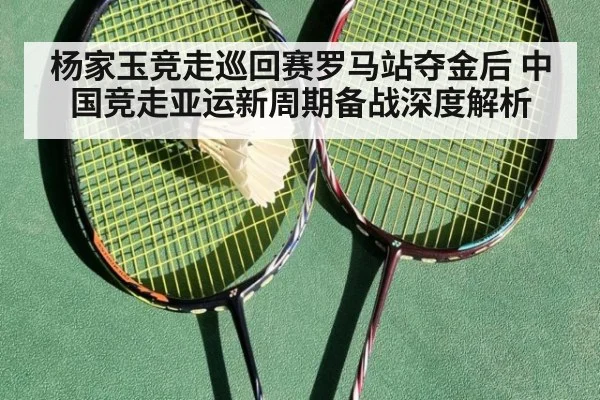 杨家玉竞走巡回赛罗马站夺金后 中国竞走亚运新周期备战深度解析